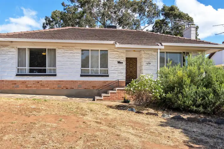 19 Taunton Avenue, Enfield SA 5085