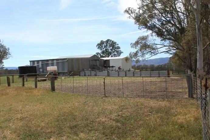 Seventh view of Homely rural property listing, 253 Woohlpooer Road, Rocklands VIC 3401