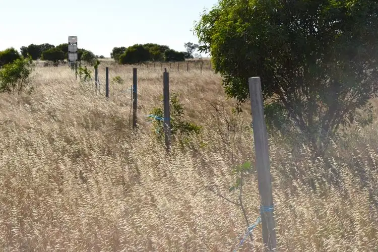 Fifth view of Homely rural property listing, . Yorkrakine Rock Road, Kellerberrin WA 6410