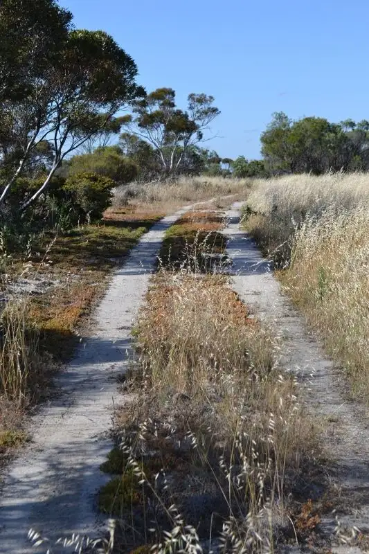 Sixth view of Homely rural property listing, . Yorkrakine Rock Road, Kellerberrin WA 6410