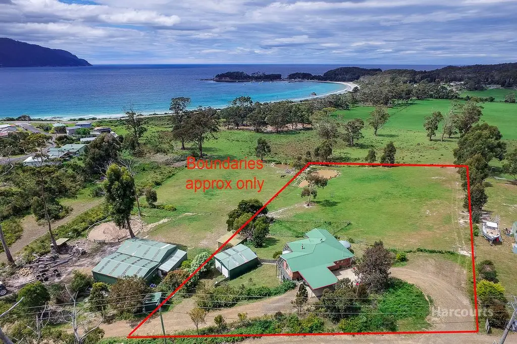 Main view of Homely house listing, 13 Richardsons Drive, Eaglehawk Neck TAS 7179