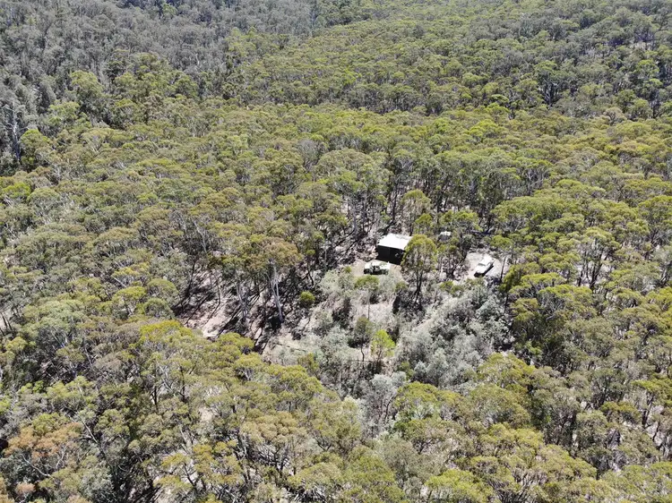 Second view of Homely rural property listing, 729 Hobbs Road, Bonang VIC 3888