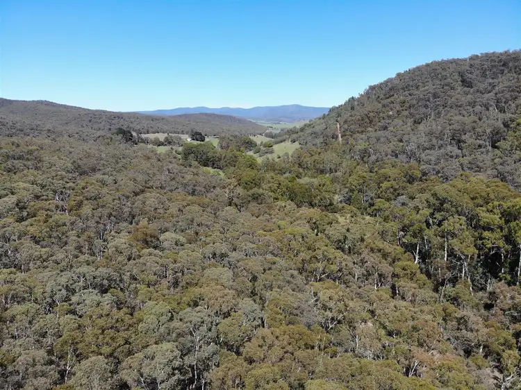 Third view of Homely rural property listing, 729 Hobbs Road, Bonang VIC 3888