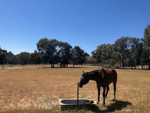 Seventh view of Homely land listing, 396 Chittering Road, Bullsbrook WA 6084