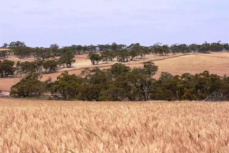 Sixth view of Homely rural property listing, 1255 Irishtown Road, Northam WA 6401