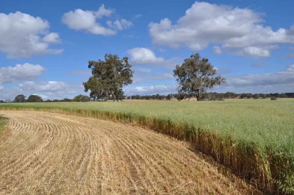 Main view of Homely rural property listing, Address available on request