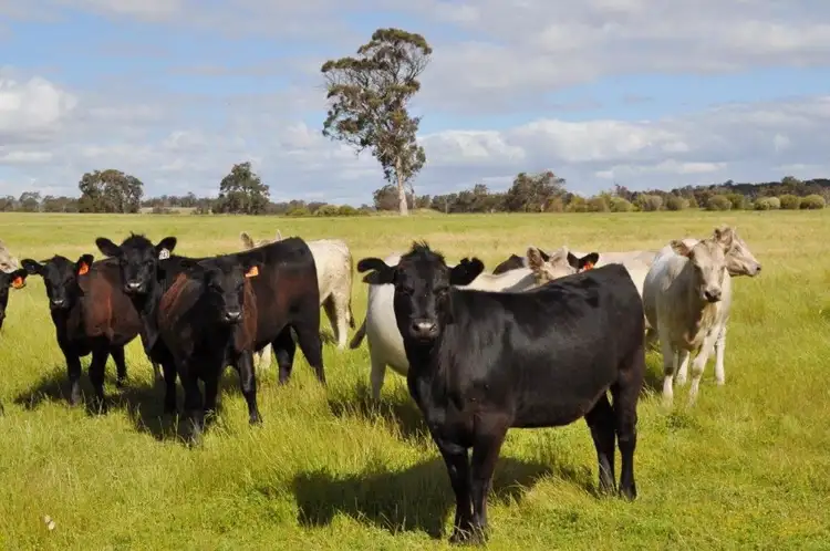 Second view of Homely rural property listing, Address available on request