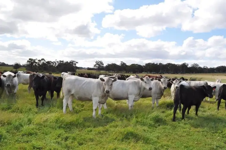 Seventh view of Homely rural property listing, Address available on request