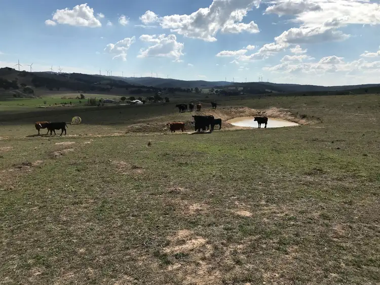 1298 Pomeroy Road, Goulburn NSW 2580
