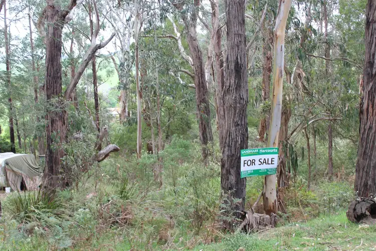 Main view of Homely rural property listing, Lot 82B Albert River Welshpool Road, Binginwarri VIC 3966