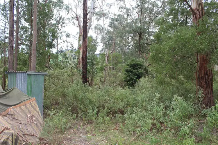 Fourth view of Homely rural property listing, Lot 82B Albert River Welshpool Road, Binginwarri VIC 3966