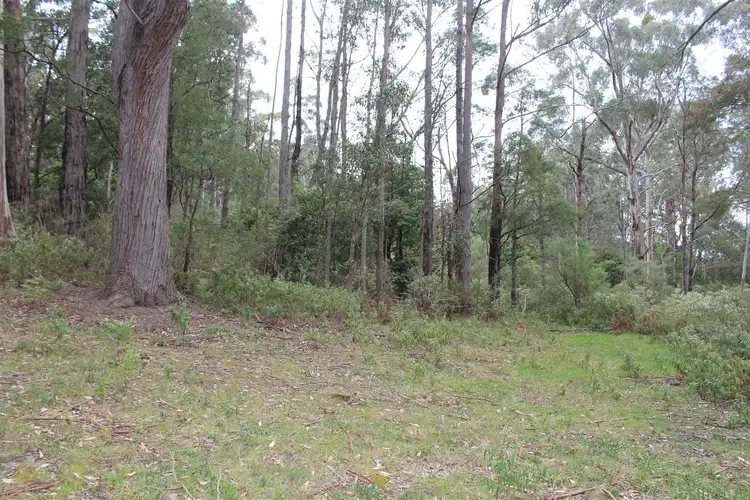 Fifth view of Homely rural property listing, Lot 82B Albert River Welshpool Road, Binginwarri VIC 3966
