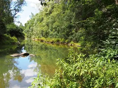 Second view of Homely rural property listing, 13 Turpentine Place, Tyalgum NSW