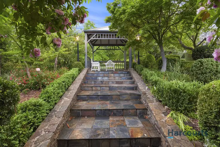 Second view of Homely house listing, 11 Tandarook Crescent, Donvale VIC 3111