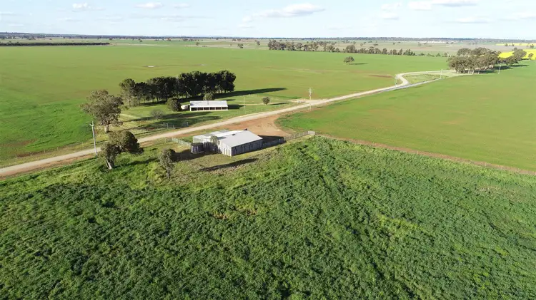 Main view of Homely rural property listing, 229 Treweekes Lane, Parkes NSW 2870