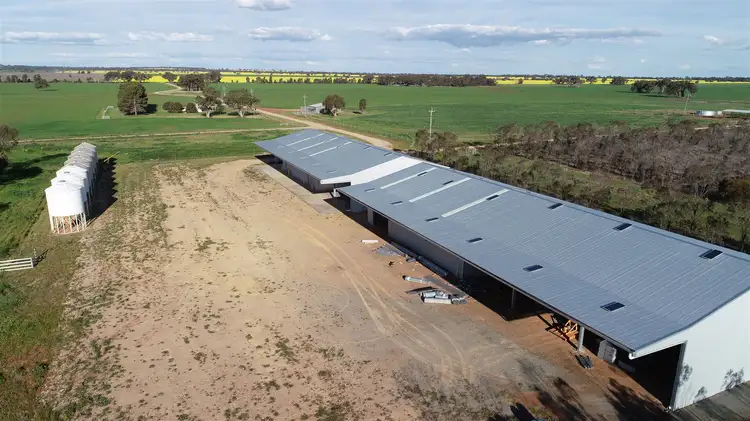 Second view of Homely rural property listing, 229 Treweekes Lane, Parkes NSW 2870