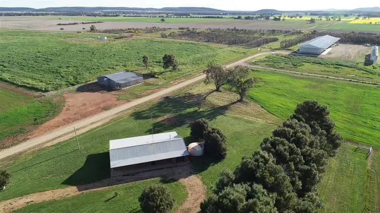 Sixth view of Homely rural property listing, 229 Treweekes Lane, Parkes NSW 2870
