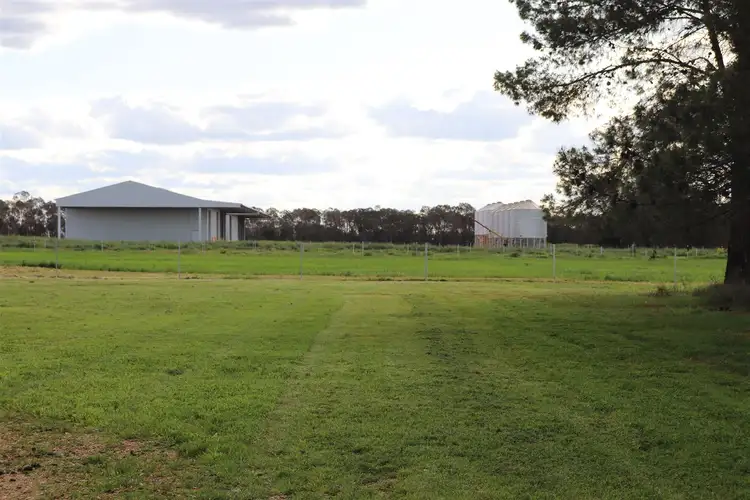Seventh view of Homely rural property listing, 229 Treweekes Lane, Parkes NSW 2870
