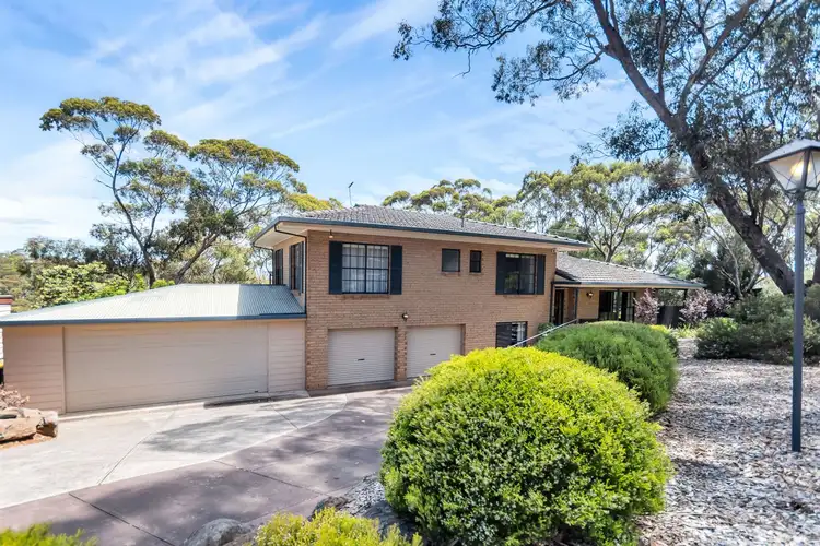 Main view of Homely house listing, 19 Treetop Terrace, Belair SA 5052