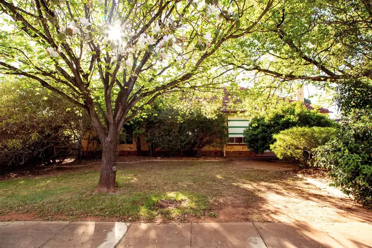 Main view of Homely house listing, 11 Grovely Street, Elizabeth Vale SA 5112