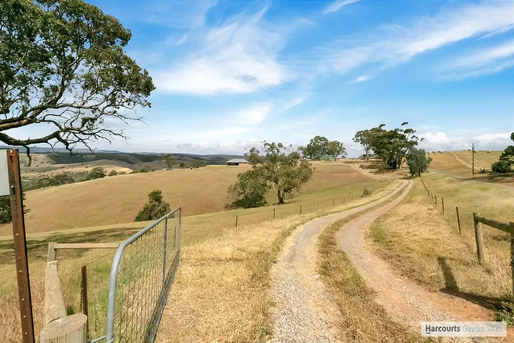Main view of Homely rural property listing, Address available on request