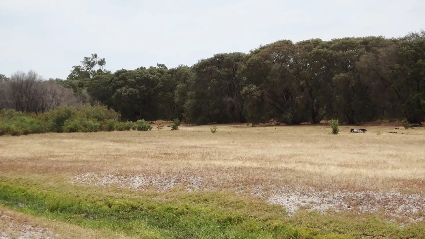 Main view of Homely rural property listing, Address available on request