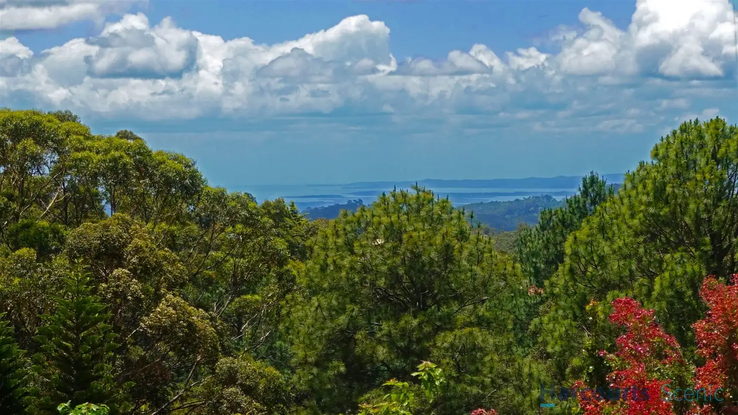 Main view of Homely house listing, 16 Kalmia Court, Tamborine Mountain QLD 4272