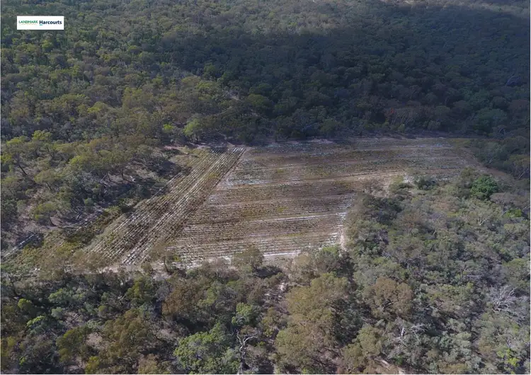 Fourth view of Homely rural property listing, 1697 Texas Road, Greenlands QLD 4380