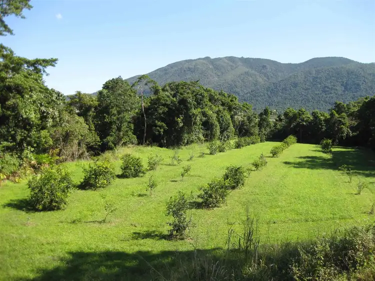 Fifth view of Homely rural property listing, 219 Old Tully Road, Bulgun QLD 4854