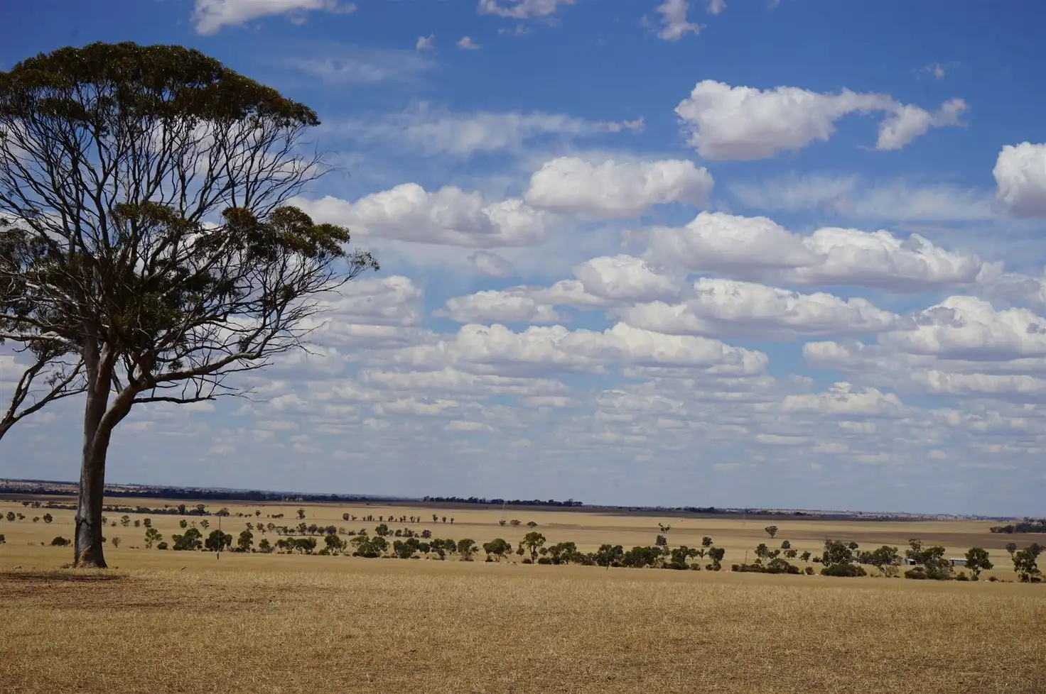 Main view of Homely rural property listing, . 'Ellengowan', Bruce Rock WA 6418