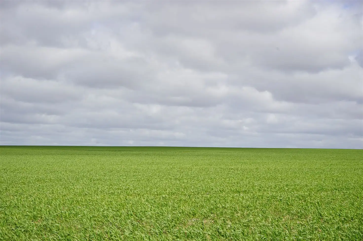 Main view of Homely rural property listing, Address available on request