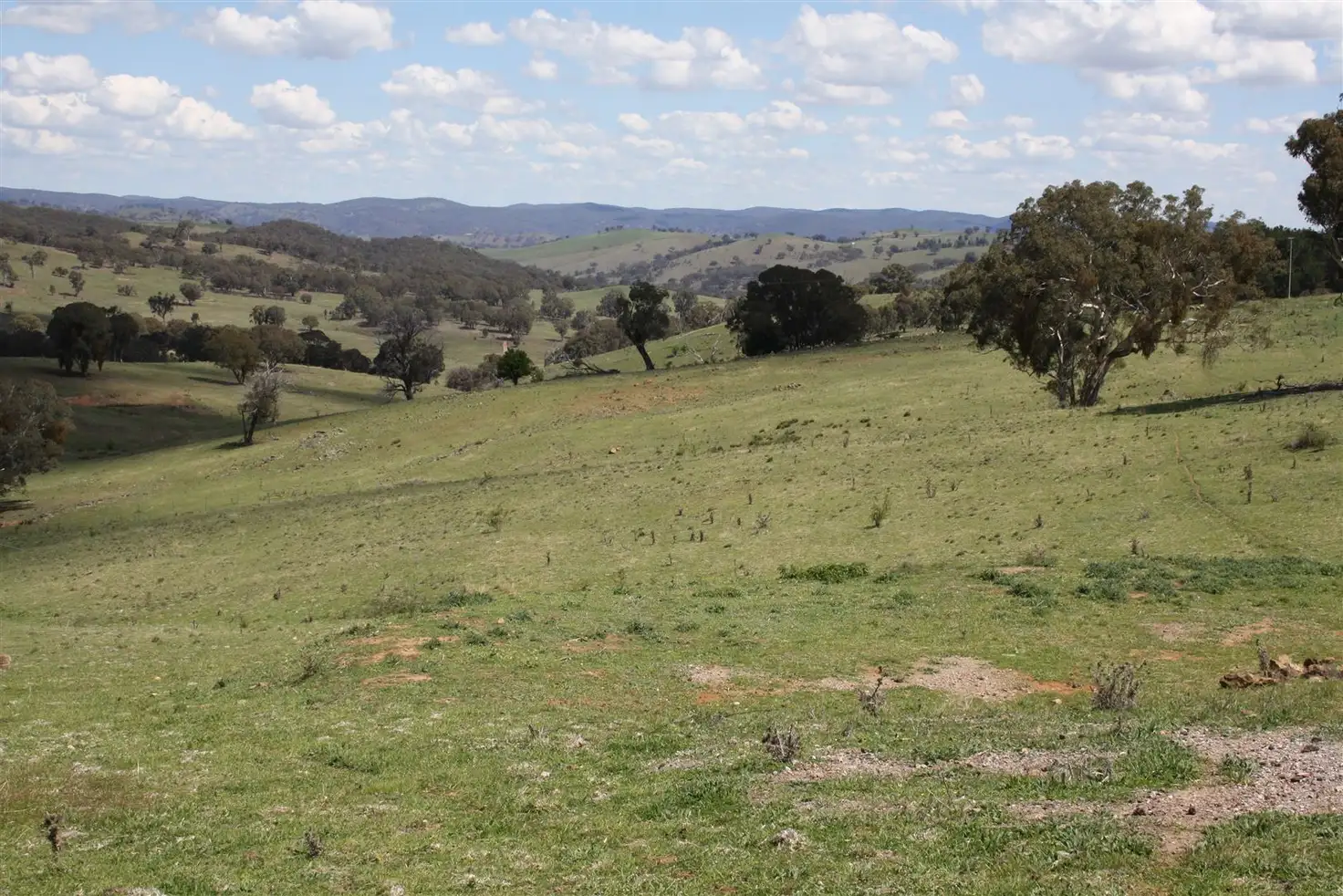 Main view of Homely rural property listing, 6020 Sofala Road Ilford, Rylstone NSW 2849
