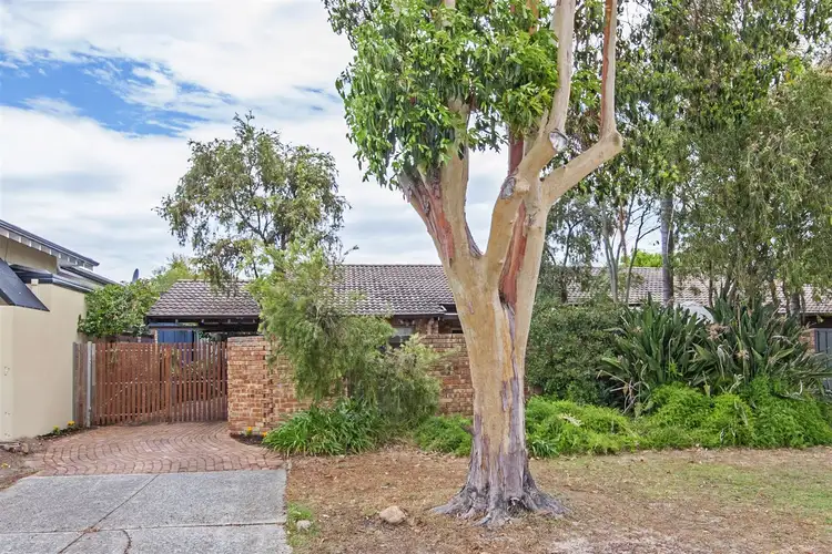 3/15 Hesford Avenue, Mount Pleasant WA 6153