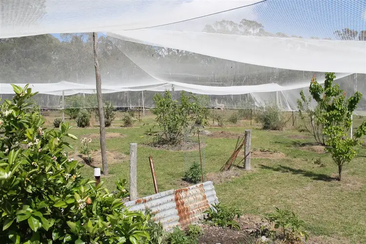 Sixth view of Homely rural property listing, 29 Catarrh Creek Road, Torrington NSW 2371