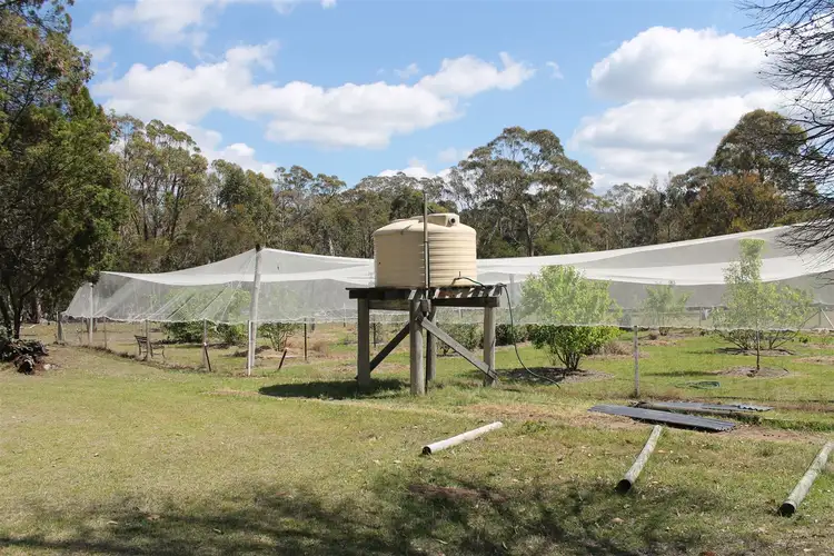 Seventh view of Homely rural property listing, 29 Catarrh Creek Road, Torrington NSW 2371