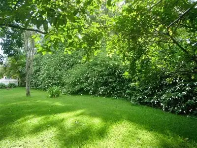 Seventh view of Homely rural property listing, 321 Burringbar Road, Burringbar NSW