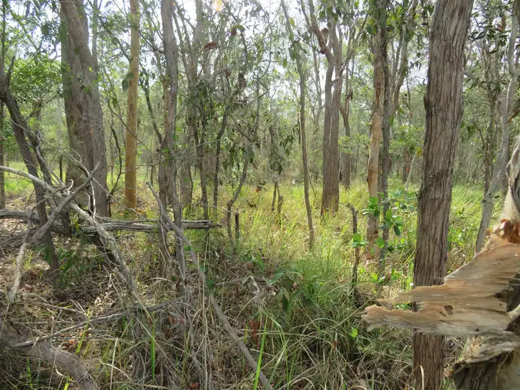 Seventh view of Homely rural property listing, Lot 2 Birthamba Road, South Kolan QLD 4670