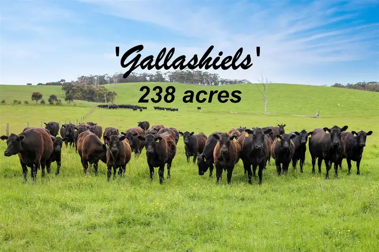 230 Buffalo-Stony Creek Road, Buffalo VIC 3958