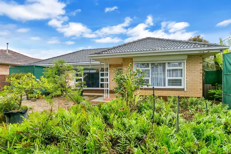 Main view of Homely house listing, 71 Lewis Street, South Brighton SA 5048