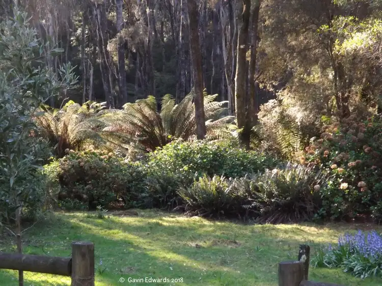 Second view of Homely house listing, 499 Lapoinya Road, Lapoinya TAS 7325
