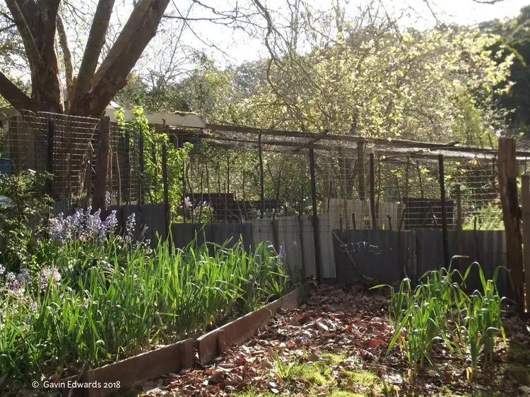 Fourth view of Homely house listing, 499 Lapoinya Road, Lapoinya TAS 7325