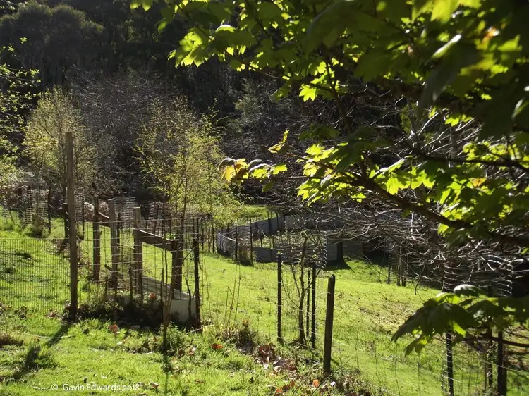 Fifth view of Homely house listing, 499 Lapoinya Road, Lapoinya TAS 7325