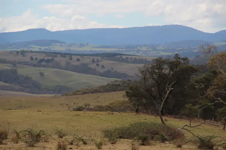 Second view of Homely rural property listing, 3352 Cooma Road, Braidwood NSW 2622