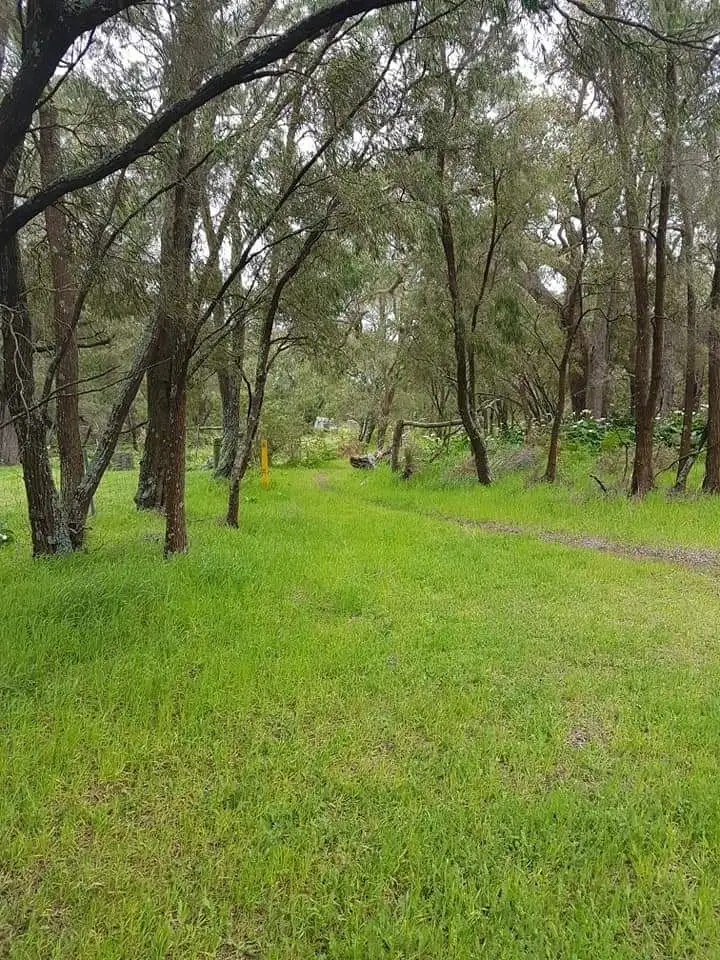 Main view of Homely rural property listing, 184 Francis Road, Lowlands WA 6330