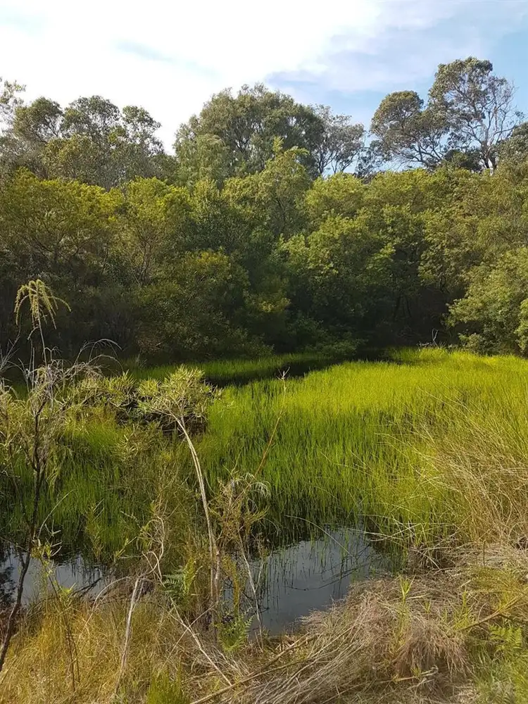 Fourth view of Homely rural property listing, 184 Francis Road, Lowlands WA 6330