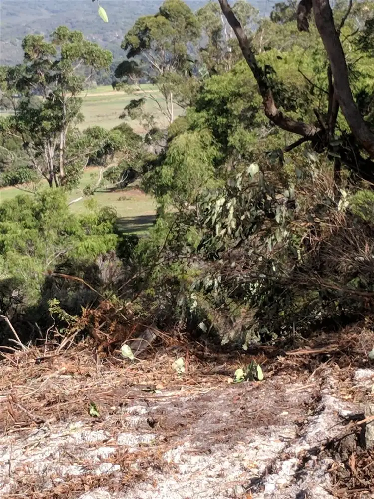 Fifth view of Homely rural property listing, 184 Francis Road, Lowlands WA 6330