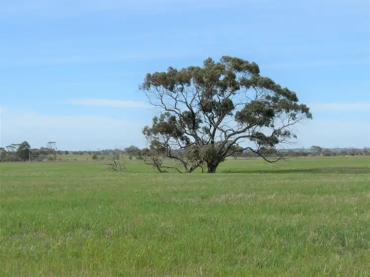 Main view of Homely rural property listing, Address available on request