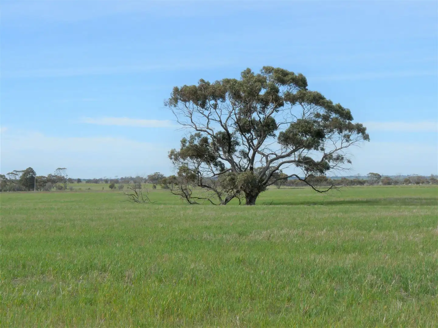 Main view of Homely rural property listing, Address available on request