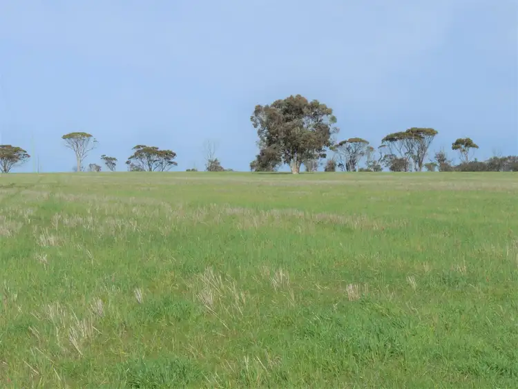 Third view of Homely rural property listing, Address available on request