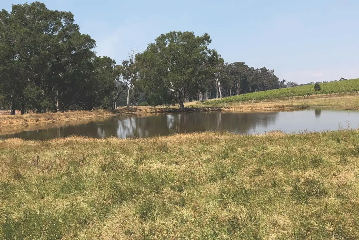 Main view of Homely rural property listing, 32 Liddelow Road, Manjimup WA 6258